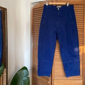 EVERLANE The Utility Barrel Pant Bright Blue 8
